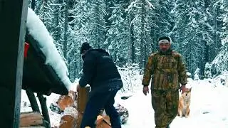 заготовка дров