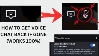 Roblox Voice Chat Disconnected Fix (Mic Not Showing) ⚒️