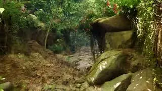 Unreal Engine PCG Forest