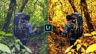 Cara edit foto di lightroom android yellow tone ala selebgram mengubah warna daun kuning #6
