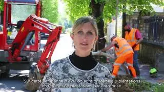 Campagne 2021 de replantations d'arbres