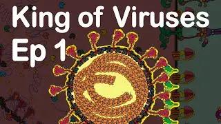SARS CoV-2 Viral Genome and Proteins