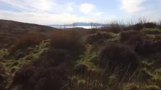 Moor