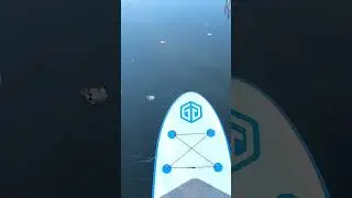 Oddly Satisfying SUP through ICE! Stand Up Paddle Boarding 