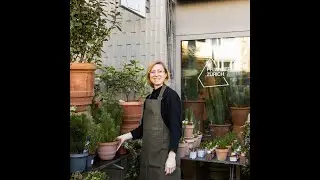 🌿💚 Pflanzerei – Green Outdoor Living  – Interview mit Carla Boschung | Mooris.com