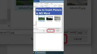 How to Insert Picture in MS Word 
