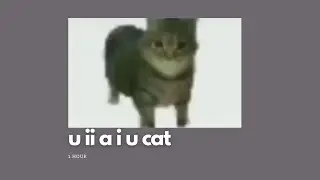 u ii a i u cat (1 hour)