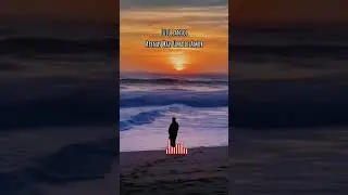 Apenas mais uma de amor - Lulu Santos #shortmusic #shortmusicvideo #foryoupage #lulusantos #short