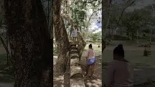 #dançando