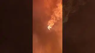 20 МАЯ 14:00 В ПРЯМОМ ЭФИРЕ  XVI 🌐 МЕЖДУНАРОДНАЯ ГОДОВЩИНА FOHOW 2022-2023