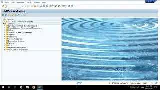 SAP S/4 HANA FICO: FUNCTIONAL CURRENCY IN SAP 