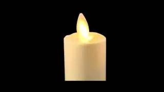 Luminara Votive - Realistic Flameless Candles