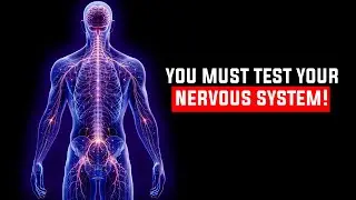 Sciatica, Hand Numbness, Neck Tension? Test Your Nerves First!
