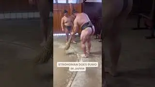 LEARNING WITH SUMO WRESTLERS #sumo #short