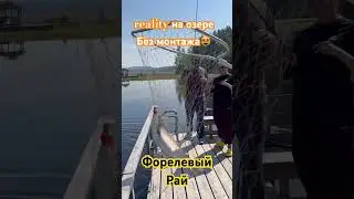 Форелевый рай. Reality#fishing#shorts #озеро