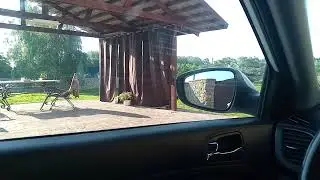 О, ценах на лом черных металлов.