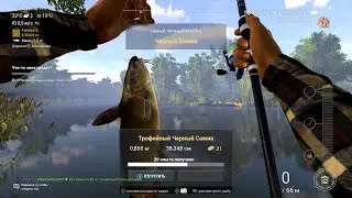 Рыбалка, игра в Fishing Planet (река Мадвотер, ловля сомов, несколько разновидностей поймал)