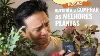 INFALLIBLE tips to avoid making mistakes when buying plants