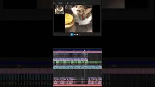 Cheeseburger Waa - Sparta Unextended Remix #shorts