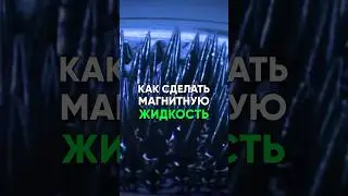 😱⚡️ Как сделать магнитную жидкость ? 