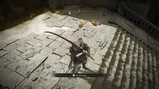 ELDEN RING Shadow of the erdtree final boss instant second stage glitch?