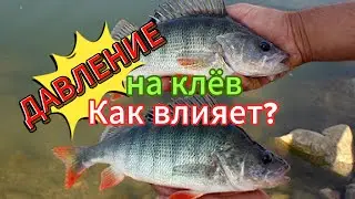 Как атмосферное давление влияет на клев карася, плотвы, карпа, щуки и судака