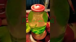 ✅Настойка на зелёном помело, сделать легко, а пить приятно👍