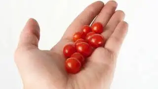 В главных ролях: овощи