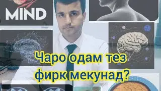 Чаро одам тез фикр мекунад?