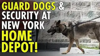Home Depot Employs GUARDS and DOGS to Safeguard NY Parking Lot from Thieves and Aggressive Migrants