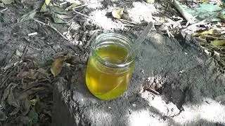 Какие у натурального мёда физические свойства.
