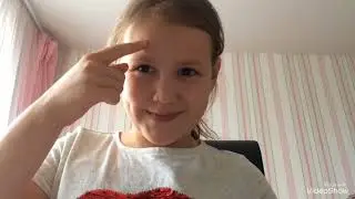 Мои дневники