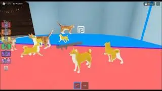 WOULD YOU RATHER IS FUNNY!