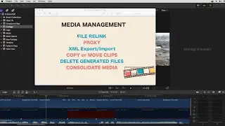 Every Editor Should Know The Secret to Media Management in Video Editing!