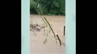 Banjir hari ini 15 maret 2022 || aksi menantang banjir di sungai