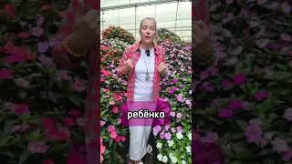Беременность с помощью расстановки #расстановка #беременность #тонкиймир #энергетическоецелительство
