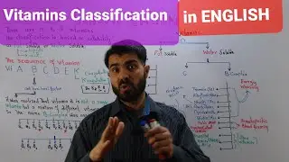 Vitamins Classification Explained  in English Fat soluble and Water soluble vitamins