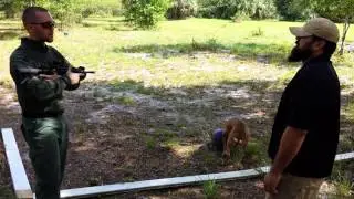 Element of Surprise