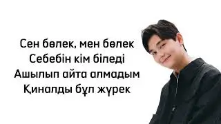 Sadraddin - Ne sebep? (Не себеп?) караоке текст песни lyrics