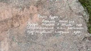 озеро Пионерское и озеро Александровское. Рыбалка 01.06.24.