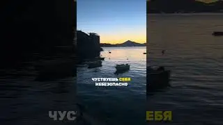 Почему люди иммигрируют в 2024 году? #иммиграция #shorts