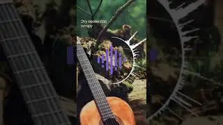 Эту песню под гитару 🎸