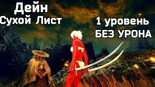 Дейн Сухой Лист на 1 уровне без урона Elden Ring Shadow of the Erdtree