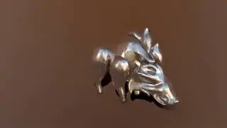 Warthog0