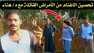 تحصين الاغنام للتخلص من الديدان والحمــة والموت المفاجئ والطفيليات مع د/ هناء ( نصائح لوجه الله)