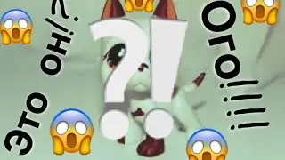 LPS У МЕНЯ НОВИНКИ|ЭТО ТОМ?!