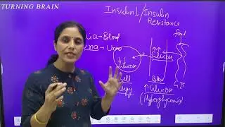 Pathophysiology of Diabetes Mellitus