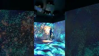 INCREDIBLE Interactive Projection Mapping