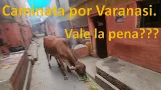Caminata por Varanasi, la ciudad vieja
