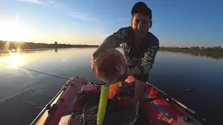 LARGE SILICONE LURES FOR BIG FISH